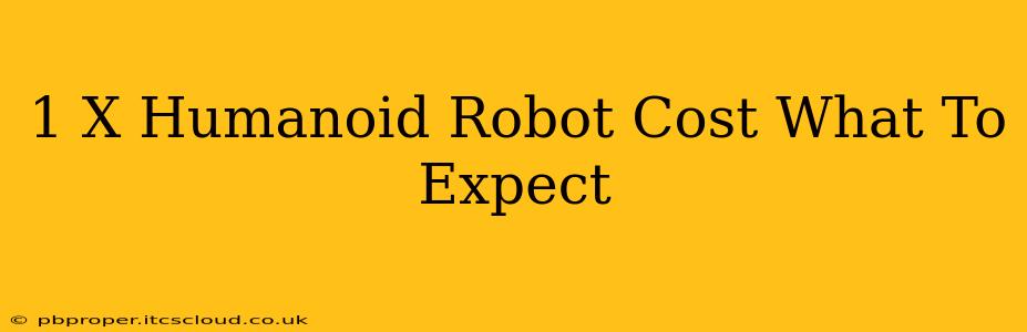 1 X Humanoid Robot Cost What To Expect