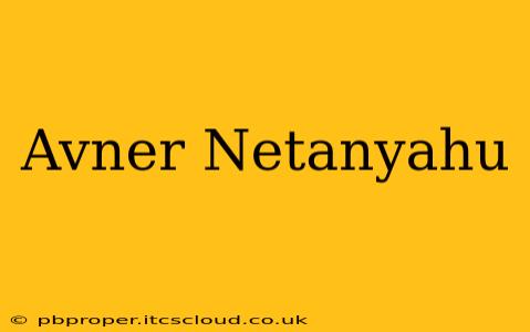 Avner Netanyahu