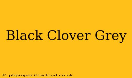 Black Clover Grey