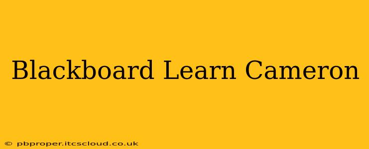Blackboard Learn Cameron