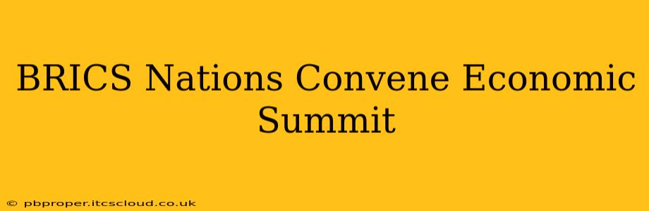 BRICS Nations Convene Economic Summit