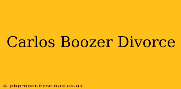 Carlos Boozer Divorce