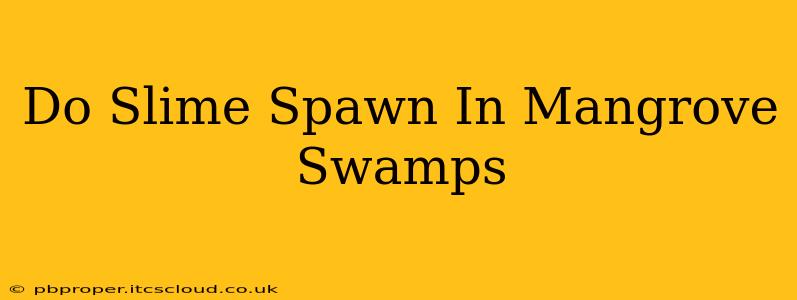 Do Slime Spawn In Mangrove Swamps