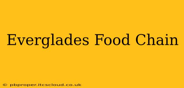 Everglades Food Chain