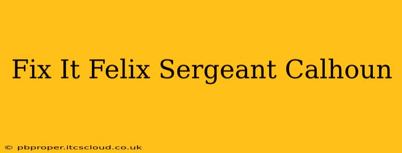 Fix It Felix Sergeant Calhoun