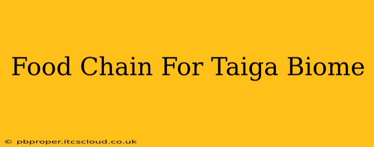 Food Chain For Taiga Biome