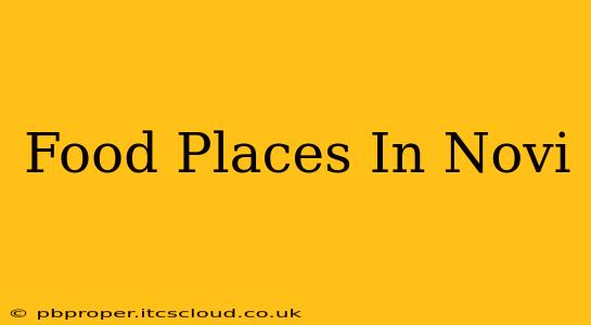 Food Places In Novi