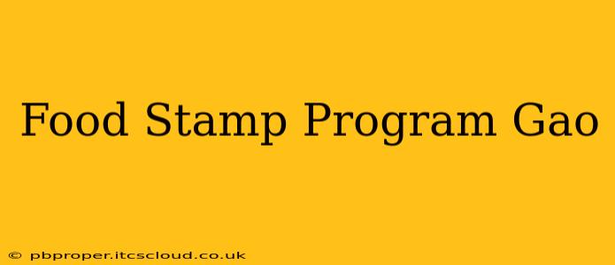 Food Stamp Program Gao