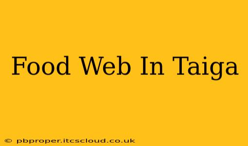 Food Web In Taiga