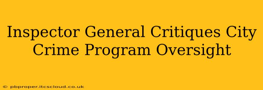 Inspector General Critiques City Crime Program Oversight