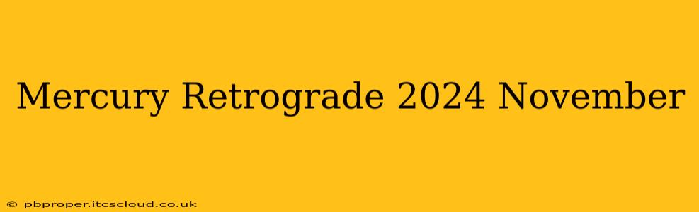 Mercury Retrograde 2024 November