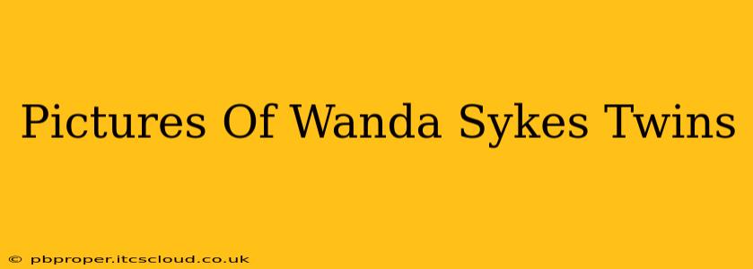 Pictures Of Wanda Sykes Twins