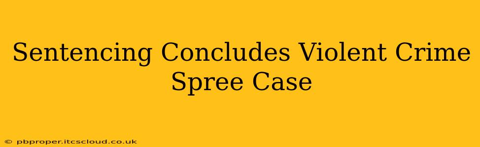 Sentencing Concludes Violent Crime Spree Case