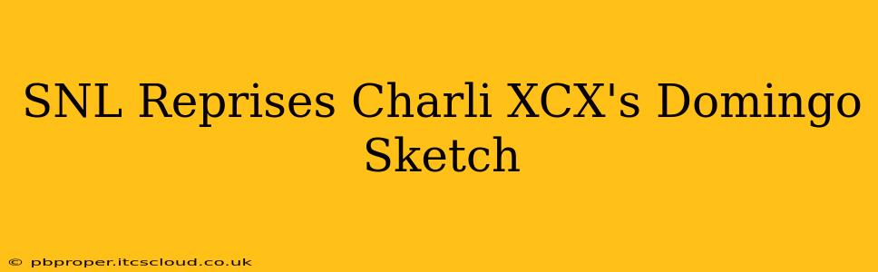 SNL Reprises Charli XCX's Domingo Sketch