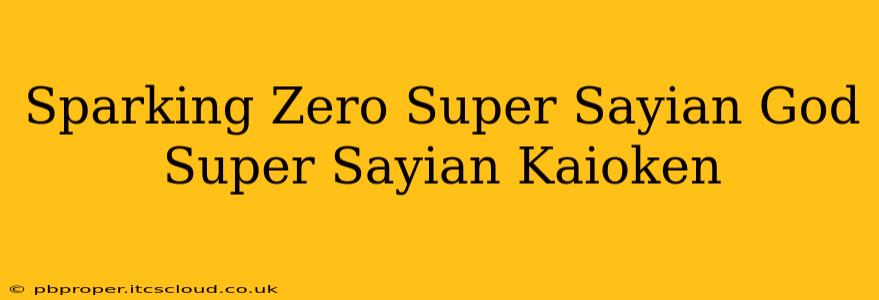 Sparking Zero Super Sayian God Super Sayian Kaioken