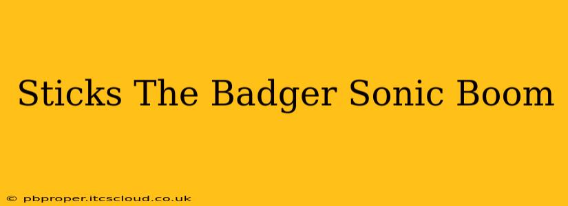 Sticks The Badger Sonic Boom