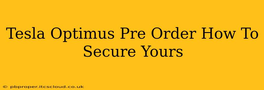 Tesla Optimus Pre Order How To Secure Yours