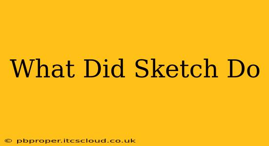 What Did Sketch Do