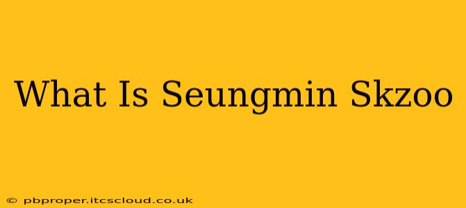 What Is Seungmin Skzoo