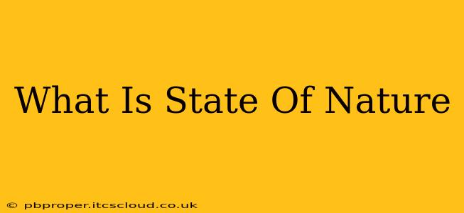 What Is State Of Nature