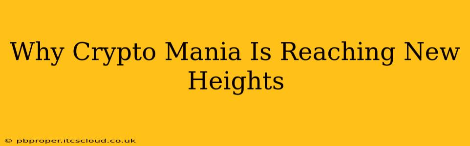 Why Crypto Mania Is Reaching New Heights